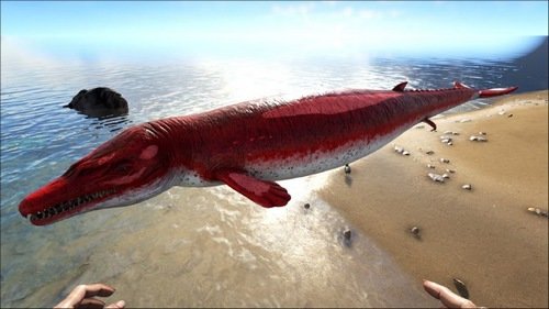 龙王鲸体重图片