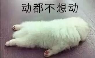 虚弱表情包熊猫图片