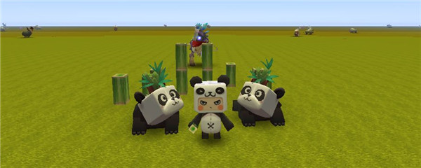 迷你世界熊猫怎么驯服