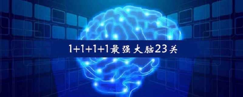 1+1+1+1最强大脑23关