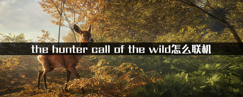 the hunter call of the wild怎么联机