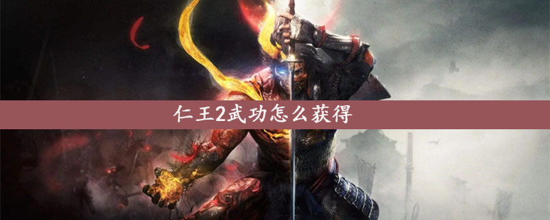 仁王2武功怎么获得 仁王2武功获得方法介绍 游戏吧