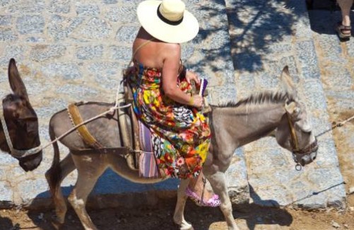 胖游客越来越多 希腊爱琴海的驴饱受摧残