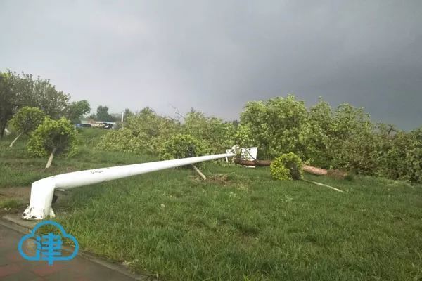 天津静海龙卷风 多处民房受损 一人受伤