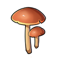 我的起源蘑菇属性介绍